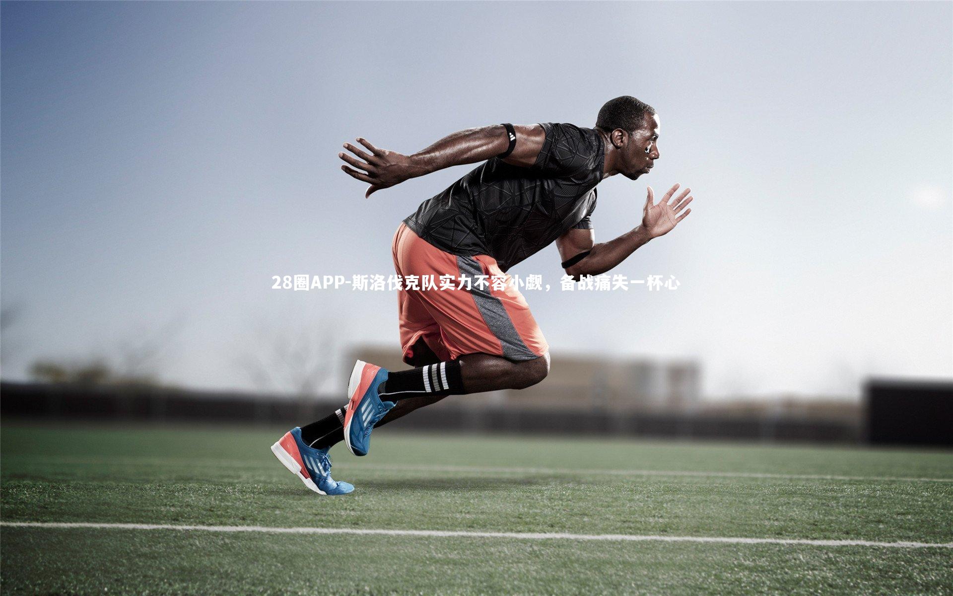 斯洛伐克队实力不容小觑，备战痛失一杯心