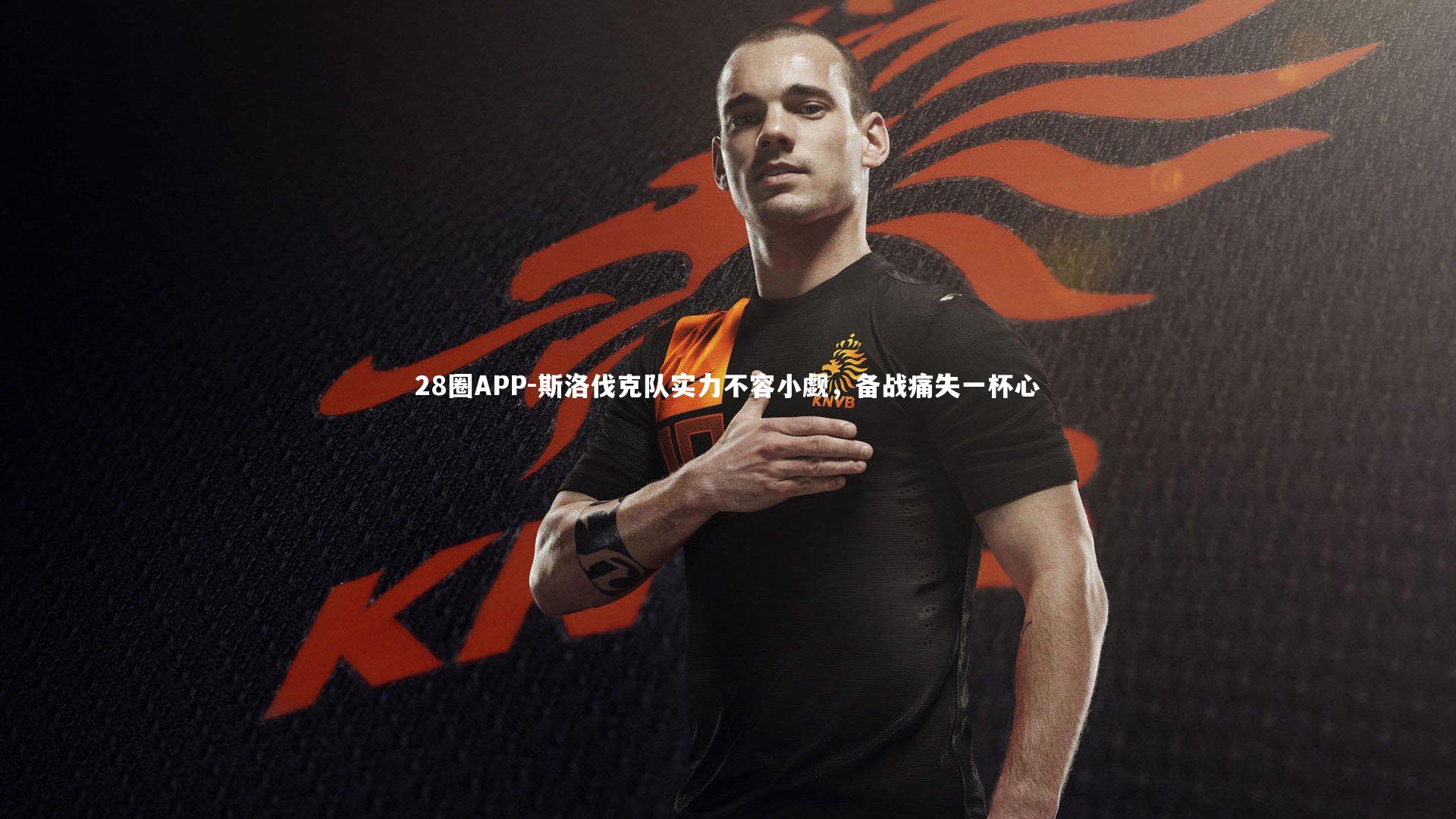 斯洛伐克队实力不容小觑，备战痛失一杯心