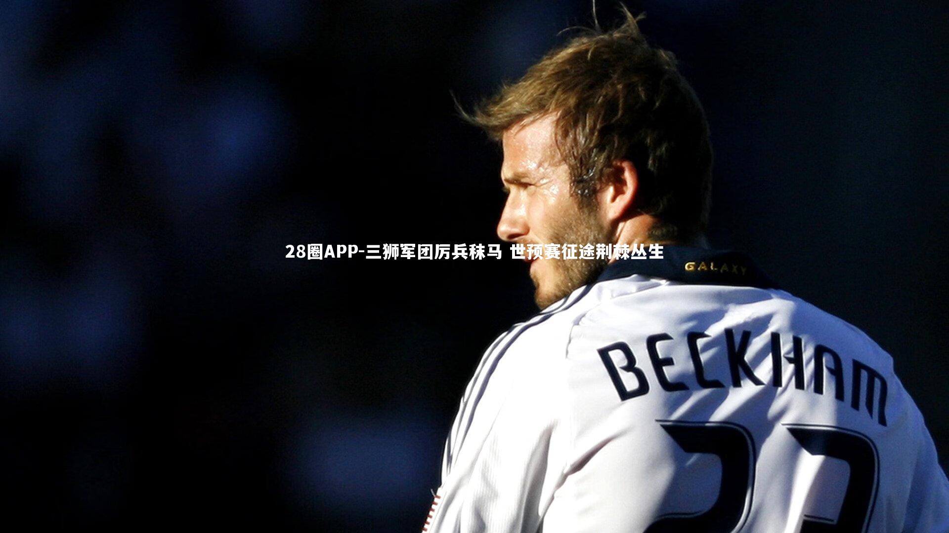 三狮军团厉兵秣马 世预赛征途荆棘丛生